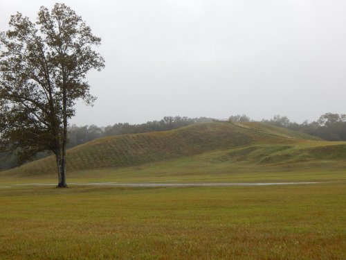 A grassy hill rises in a misty landscape, with a solitary tree nearby under overcast skies.