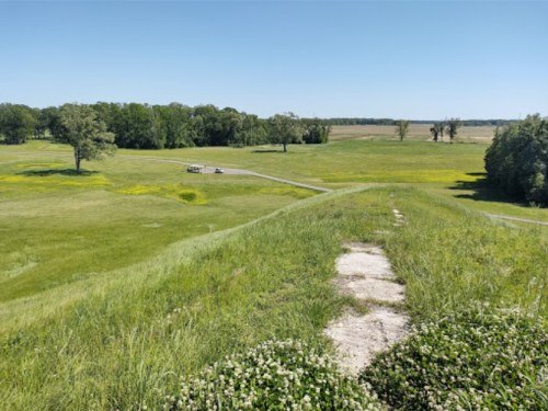 A grassy landscape with a path leading through fields and trees under a clear blue sky.