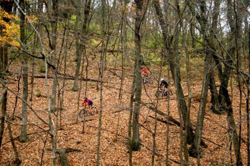 Three mountain bikers navigate a wooded trail covered in autumn leaves. Trees surround them in a vibrant forest setting.