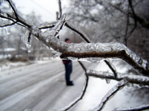 A close-up of an icy branch with a blurred figure standing on a snowy road in the background.