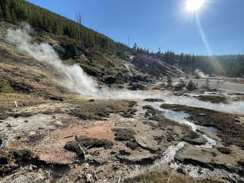 Steam rises from geothermal features in a rugged landscape under a clear blue sky, with trees in the background.