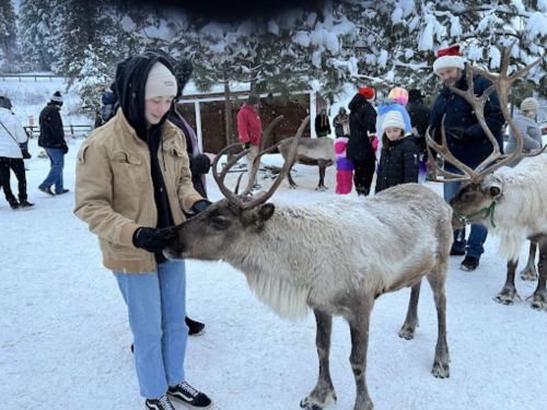 A person interacts with a reindeer in a snowy setting, surrounded by people and festive decorations.