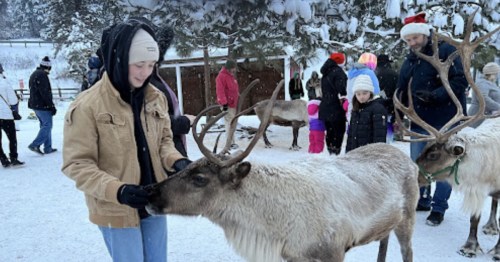 A person in winter attire gently interacts with a reindeer in a snowy setting, surrounded by people and festive decorations.