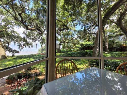 A serene view from a window showing lush greenery and trees, with a glimpse of water in the background.