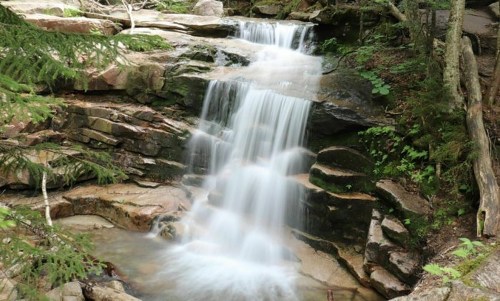 A serene waterfall cascading over rocks, surrounded by lush greenery and trees.