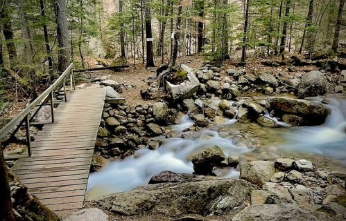 A wooden bridge crosses a rocky stream in a serene forest, surrounded by trees and flowing water.