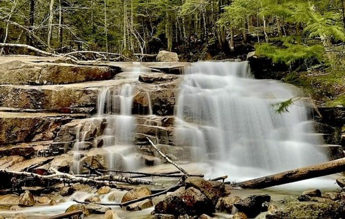 A serene waterfall cascades over rocky terrain, surrounded by lush green trees in a tranquil forest setting.