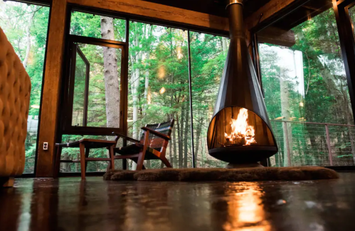 Cozy interior with a modern fireplace, wooden furniture, and large windows overlooking a lush forest.