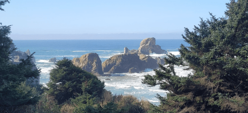 Coastal view featuring rocky formations and waves, framed by lush green trees under a clear blue sky.