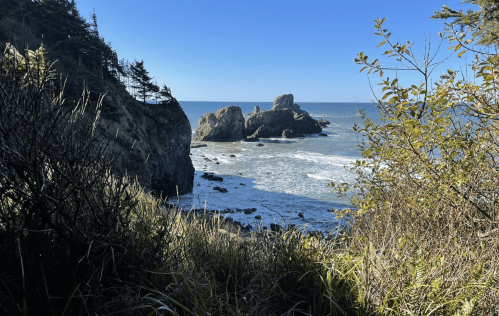 A coastal view featuring rocky formations, waves, and greenery under a clear blue sky.