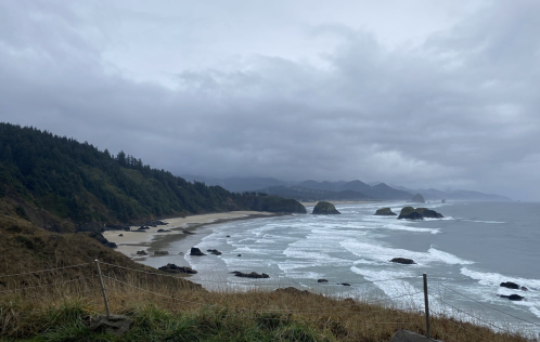 A coastal view with rocky formations, waves crashing on the shore, and a cloudy sky over a lush green landscape.