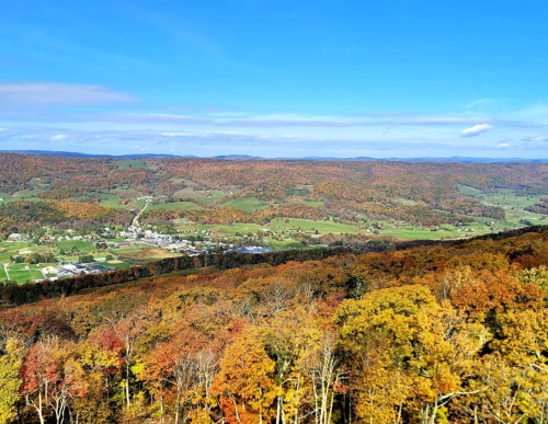 A panoramic view of rolling hills covered in vibrant autumn foliage under a clear blue sky.