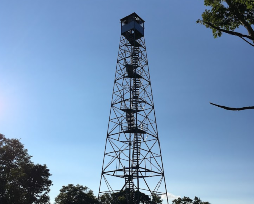 A tall metal observation tower against a clear blue sky, surrounded by trees.