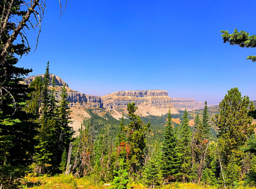 A scenic view of mountains and trees under a clear blue sky, showcasing a vibrant natural landscape.
