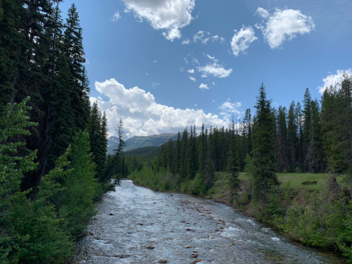 A serene river flows through a lush green forest under a blue sky with fluffy clouds and distant mountains.