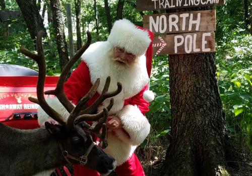 Santa Claus in a red suit interacts with a reindeer near a "North Pole" sign in a forested area.