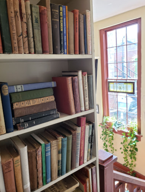 A bookshelf filled with various books, next to a window with plants and a view of the outdoors.