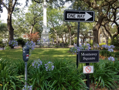 A park scene with a "One Way" sign, a parking meter, and a "Monterey Square" sign surrounded by flowers and trees.