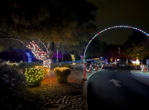 Colorful holiday lights illuminate a pathway and trees at night, creating a festive atmosphere.
