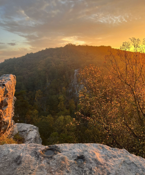 A scenic view of a rocky cliff at sunset, with golden light illuminating trees and a distant mountain.