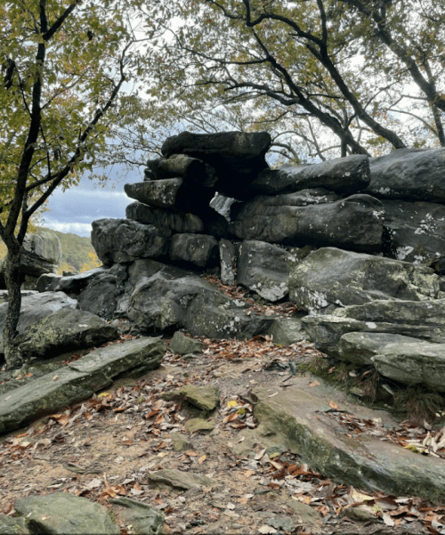 A rocky formation surrounded by trees and fallen leaves, under a cloudy sky.