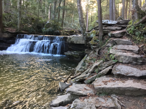 A serene forest scene featuring a waterfall cascading into a calm pool, with stone steps leading alongside.