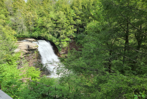 A serene waterfall cascades over rocks, surrounded by lush green trees and foliage.