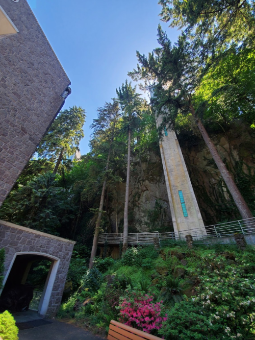 A tall stone structure surrounded by trees and greenery, with a clear blue sky above.