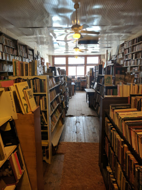 A cozy, narrow bookstore filled with tall bookshelves and wooden floors, illuminated by natural light from large windows.