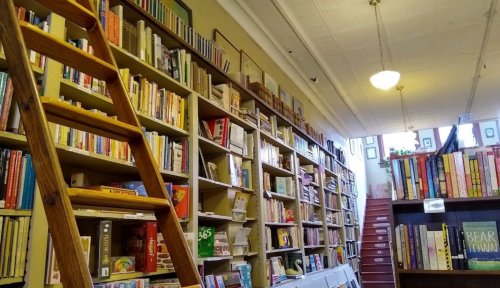 A cozy bookstore interior with tall shelves filled with books and a wooden ladder for reaching higher shelves.