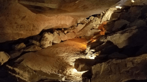 A dimly lit cave interior with rocky formations and a sandy floor, illuminated by soft lights.