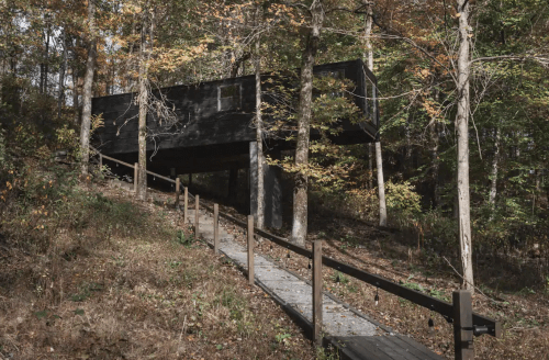 A modern black house elevated on stilts, surrounded by trees and autumn foliage, with a wooden pathway leading up to it.