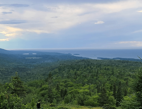 A scenic view of lush green forests meeting a calm ocean under a cloudy sky, with distant islands visible.