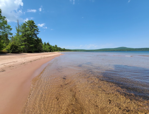 A serene beach with sandy shores and calm water, surrounded by lush green trees under a clear blue sky.