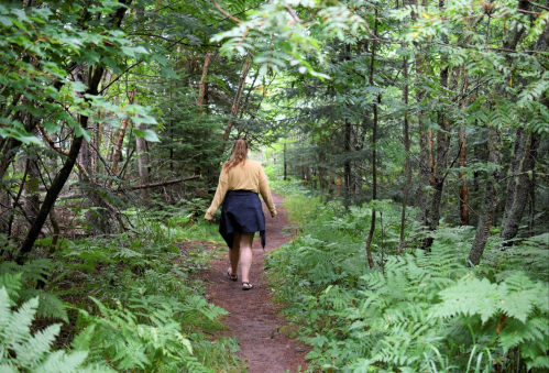 A person walks along a forest path surrounded by lush greenery and ferns.