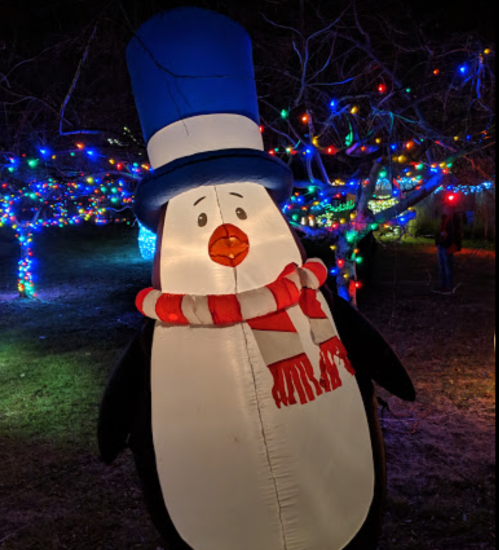 A large inflatable penguin wearing a blue top hat and red scarf, surrounded by colorful holiday lights.
