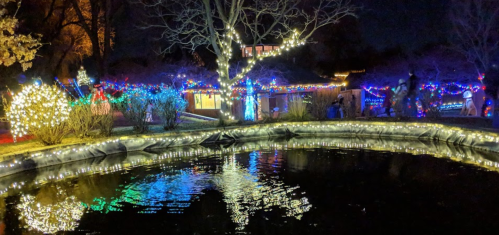 A serene night scene featuring a pond surrounded by colorful holiday lights and trees, reflecting in the water.