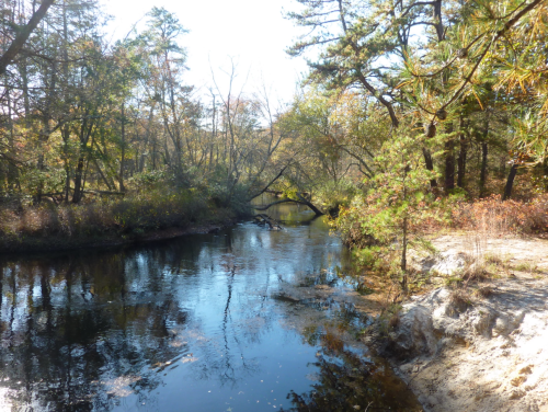A serene river flows through a wooded area, surrounded by trees and autumn foliage under a clear blue sky.