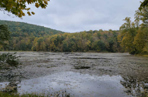 A serene lake surrounded by trees in autumn colors, under a cloudy sky. Reflections shimmer on the water's surface.
