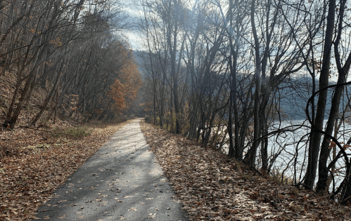 A serene path lined with bare trees and autumn leaves, leading to a river under a cloudy sky.