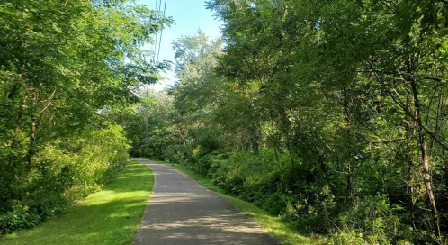 A serene pathway winding through lush greenery and trees under a clear blue sky.