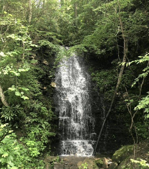 A serene waterfall cascading down rocky steps, surrounded by lush green foliage and trees.