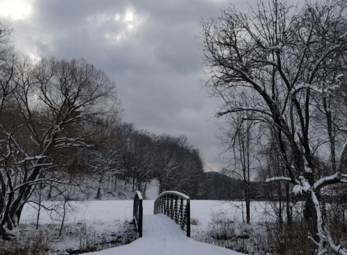 A snow-covered bridge leads over a frozen landscape, surrounded by bare trees under a cloudy sky.