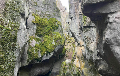 A narrow canyon with moss-covered rocks and steep walls, creating a natural, rugged landscape.