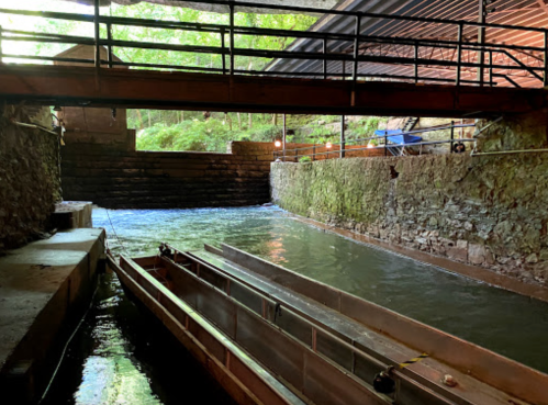 A view of a waterway with stone walls and a wooden structure overhead, surrounded by greenery.
