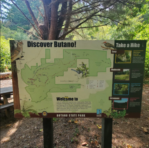 A park sign at Butano State Park featuring a map and information about hiking trails and park features.