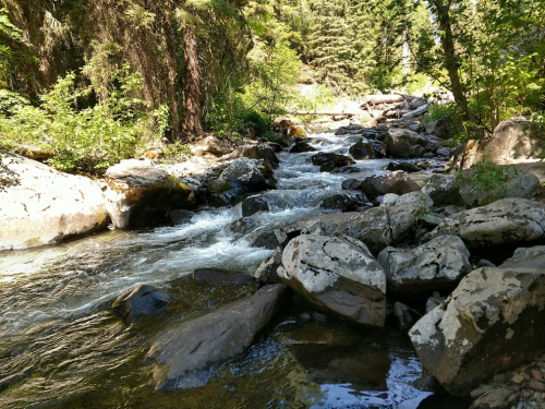 A serene river flows over rocks, surrounded by lush greenery and trees in a peaceful natural setting.