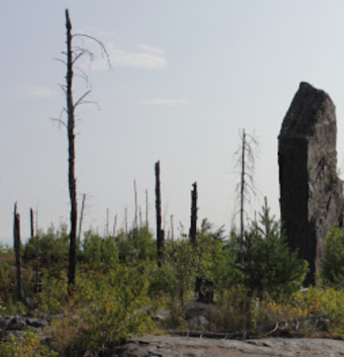 A rocky outcrop surrounded by charred trees and new vegetation, indicating a recovering landscape after a fire.