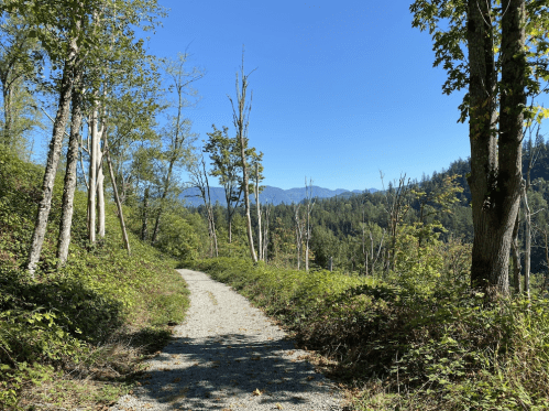 A gravel path winds through a lush green forest, with mountains visible in the distance under a clear blue sky.