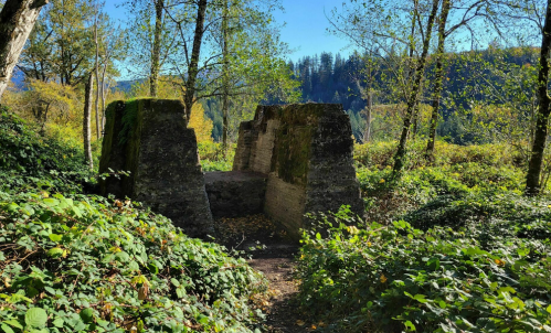 Ruins of a stone structure surrounded by lush greenery and trees under a clear blue sky.